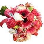 Send this fresh bouquet of gerberas n roses to ur loved ones for any occasion ...