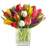 Mixed tulips bouquet to add the touch or brightness n colours to ur day to make ...