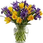 Fresh arrangemt of yellow tulips n purple iris - just to show ur warmth love n c...