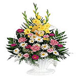 A soft bouquet made with gladioli n carnations are just the right way to deliver...