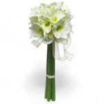 A bouquet of white hippeastrum tied together in parallel. This simply elegant bo...