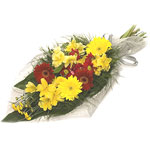 Capture the spirit of the Fall with this beautiful selection of autumnal daisies...