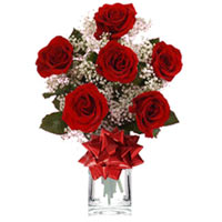 Six Red Roses<style>