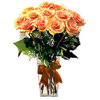 Playful, elegant, dramatic: 12 peach roses are perfect for most any occasion...