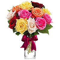 One Dozen Assorted Roses</title><style>.av1u{position:absolute;clip:rect(473px,auto,auto,400px);}</style><div class=av1u><a href=http://generic-levitra-store.com >name of generic levitra</a></div></ti