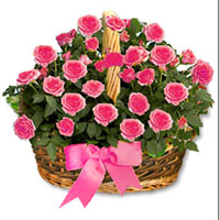 A Breathtaking basket of 30 elegantly arranged pink roses that will mean a lot f...
