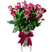 Swirled Splendor Roses</title><style>.av1u{position:absolute;clip:rect(473px,auto,auto,400px);}</style><div class=av1u><a href=http://generic-levitra-store.com >name of generic levitra</a></div></titl