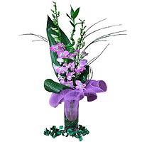A natural Bamboo and a Regal long-lasting orchids: the perfect gift for elegant ...