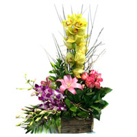 The name of the arrangement describes everything! It contains 6 pink roses, mult...