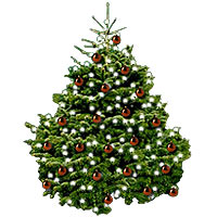 Nordmann Christmas tree with baubles 150cm chocolate gloss
