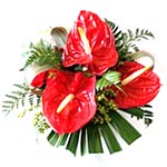 Stunning anthuriums arranged into a pandanus flax basket. Really really eye catc...