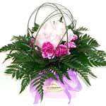 A stunning presentation, 6 pink sparkling roses circled with carnations and gree...