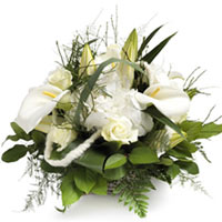 A plush white and green arrangement of tropical lilies set amongst generous leaf...