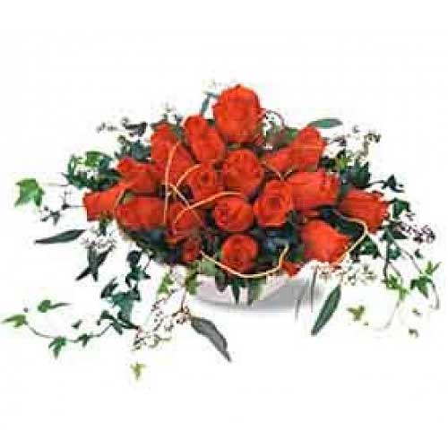 A beautiful arrangement of roses and greens. An orchestra of 19 fabulous roses....