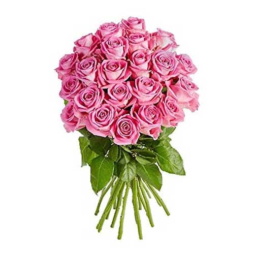 24 Pink Roses bunch ....