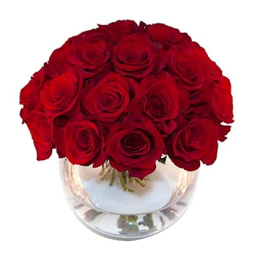 Red Roses in Vase ....