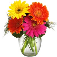 Joyful and energetic - perfect flowers for spring!<br>This bouquet is full of vi...