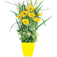 Send a load of cheerful emotions!<br>Our cheerful daisy pot will add a burst of ...