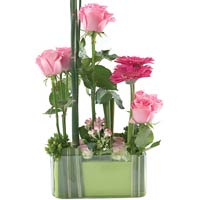 Send this stylish and elegant arrangement!<br>Gerberas, chrysanthemums and other...