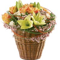 Send unique flowers with sunny greetings!<br>Choose a lovely arrangement of lill...