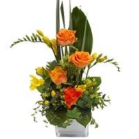 Looking for unusual gift  choose -Orangery- Arrangement!Cascade arrangement is ...