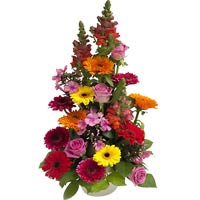 Express it in colours of rainbow!<br>Colorful gerberas, roses, gilly-flowers are...