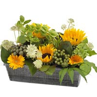 Give a little sun..<br>Sunflowers, gerberas and brunia in yellow shades light u...