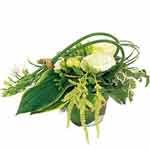Posy arrangement of white flowers with greenery....