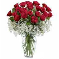 elegant gift consists of a bunch of 33 red roses, a fresh Gypsophila collar, arr...