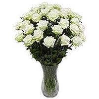 A bunch of 39 white roses are simplify pure, spotless, made entirely of white ro...