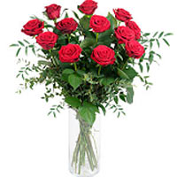 Bouquet of 13 red roses simple . red roses are messengers of love burning classi...