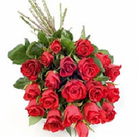 Simple, passionate, beautiful, but with spikes - thousands red rose flower is no...
