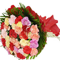 Decorated Carnations