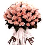 24 Pink Roses Bunch