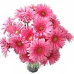 Pink Gerberas in Vase...
