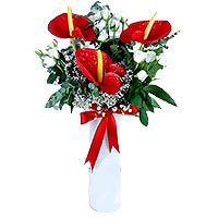 Cylinder red anthuriums and white roses in glass vase Information about flower o...