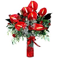 Anthuriums and Roses of Love. 12 red roses and 7 anthuriums with greens....