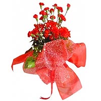 Red Carnation Bouquet....