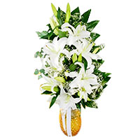 White Blooms(http://www.ciceksepeti.com/turuncu-romada-beyaz-lilyumlar)