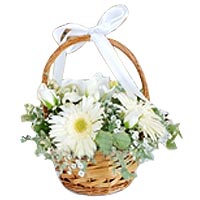 This beautiful basket is composed of 5 white roses, 2 Lilies and gerberas....