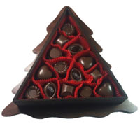 Amazing Pine Tree Box of 14 Praline Chocolates