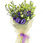 A precious flower bouquet of purple eustoma are beautiful wrapped with paper and...