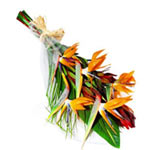 This fire bloom bouquet is composed of birds of paradise any home or office....