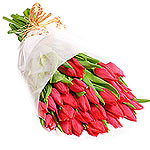 This splendor bouquet of pure red tulips reflect your emotions. It means declara...
