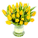 The name says it all  these striking yellow, large headed, Tulips are sure to i...