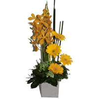 Artistic Arrangement of Yellow Flowers in a Vase