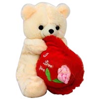 Brilliant Soft Teddy Toy with Full of Love