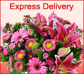 Express Delivery To Fan Lau