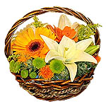 Make someones day truly delightful by sending this lime twist basket. Its Compos...