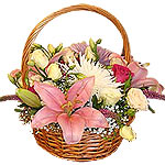Send Mix Flowers in Beautiful Arrangement. Send Your Feeling with Special gift o...
